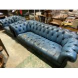 A blue leather Chesterfield three seater sofa and arm chair. (A.f leather in need of repair) W:215cm