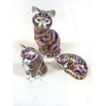 Three Royal Crown Derby Imari cats, two seated and one sleeping H:13cm Tallest