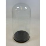 A small Victorian glass dome with an ill fitting base. Height in glass dome approximately H:30cm
