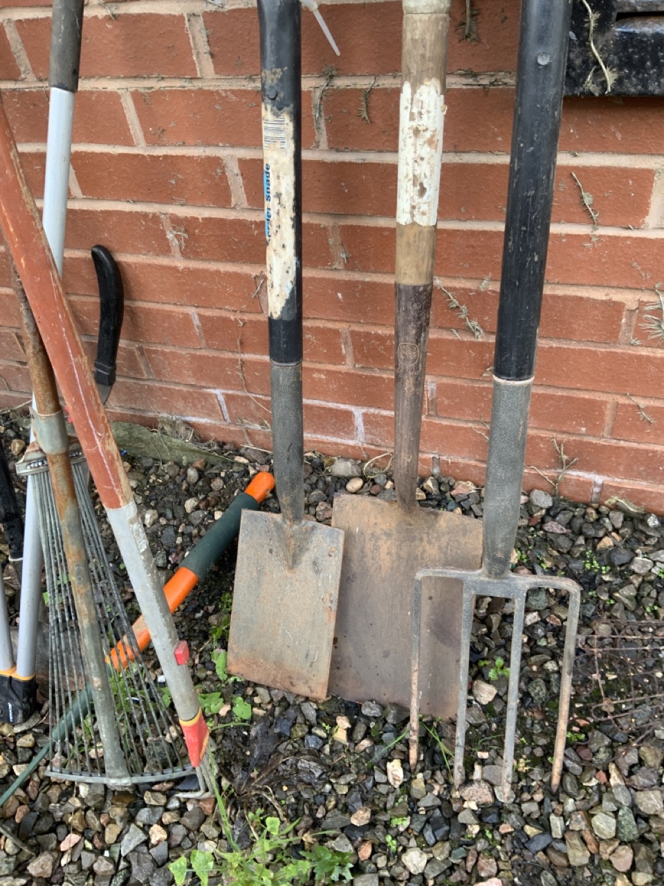 A large quantity of tools, three spades, two forks, various hoes, rakes, sheers etc. - Image 2 of 4