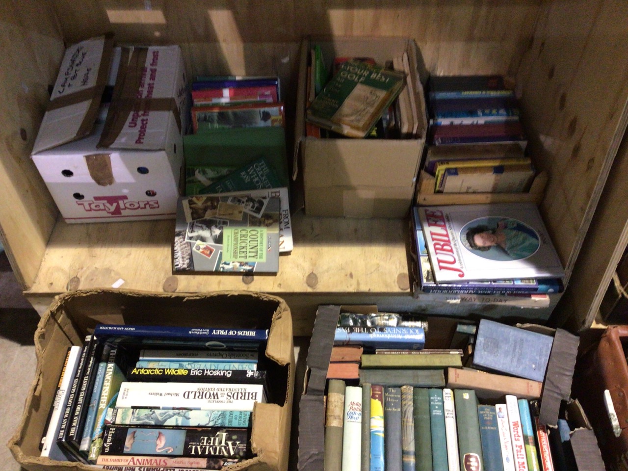 A very large quantity of books in multiple boxes including, wildlife, birds, sporting, trains,