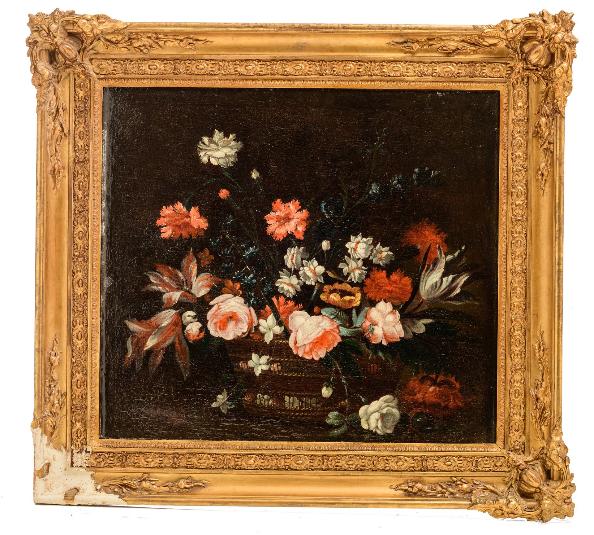 Adriaen Coorte (c. 1660-1723), flower still life, 1700, oil on canvas, 60 x 66 cm - Bild 2 aus 6