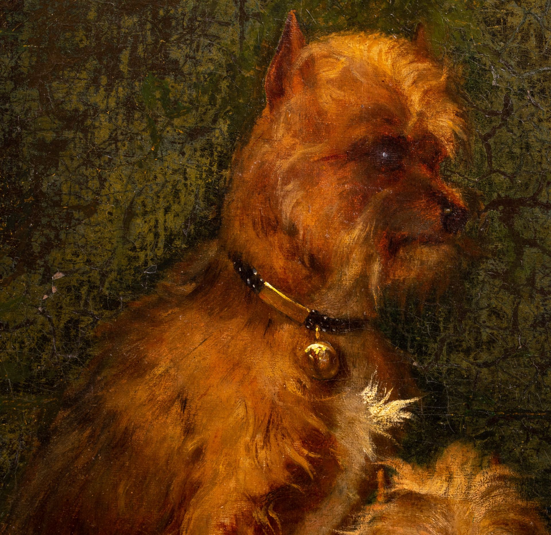 Christophe Cathelinaux (1819-1883), the portrait of the dogs 'Cockney and Texy', oil on canvas, 56 x - Bild 2 aus 7