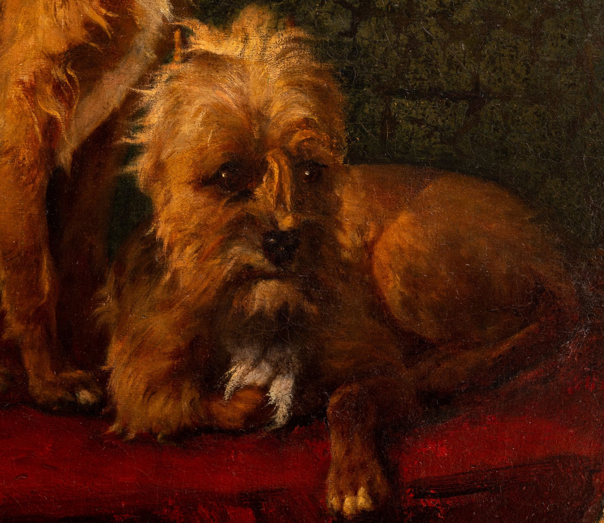 Christophe Cathelinaux (1819-1883), the portrait of the dogs 'Cockney and Texy', oil on canvas, 56 x - Bild 3 aus 7