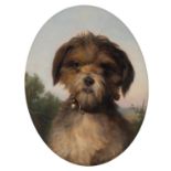 Ferdinand Krumholz (1810-1878), the portrait of a Brussels Griffon dog, oil on canvas, 27 x 35,5 cm