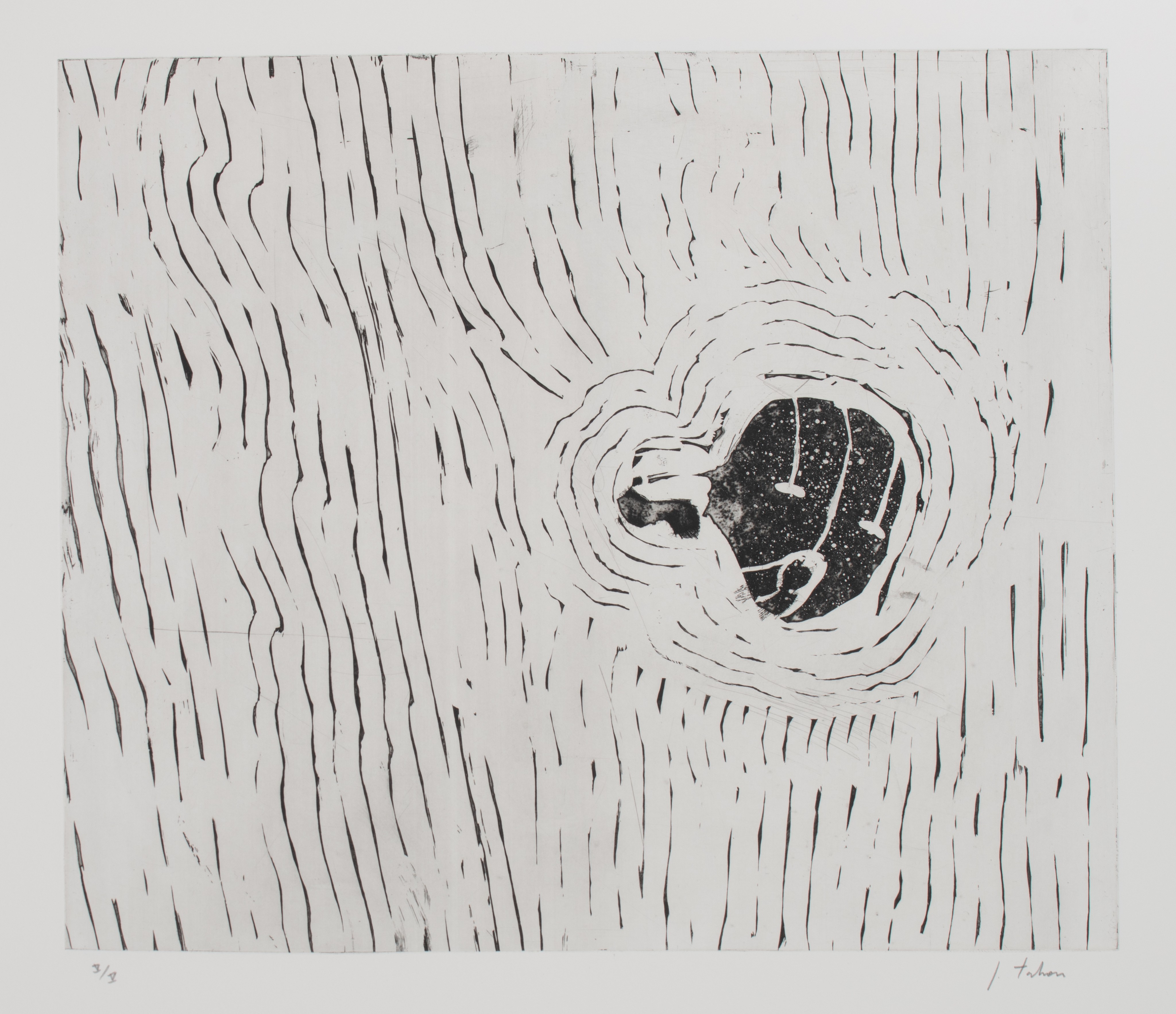Johan Tahon (1965), 'Orbe de Mercure', art folder containing 12 etchings, No V/V - Image 4 of 16
