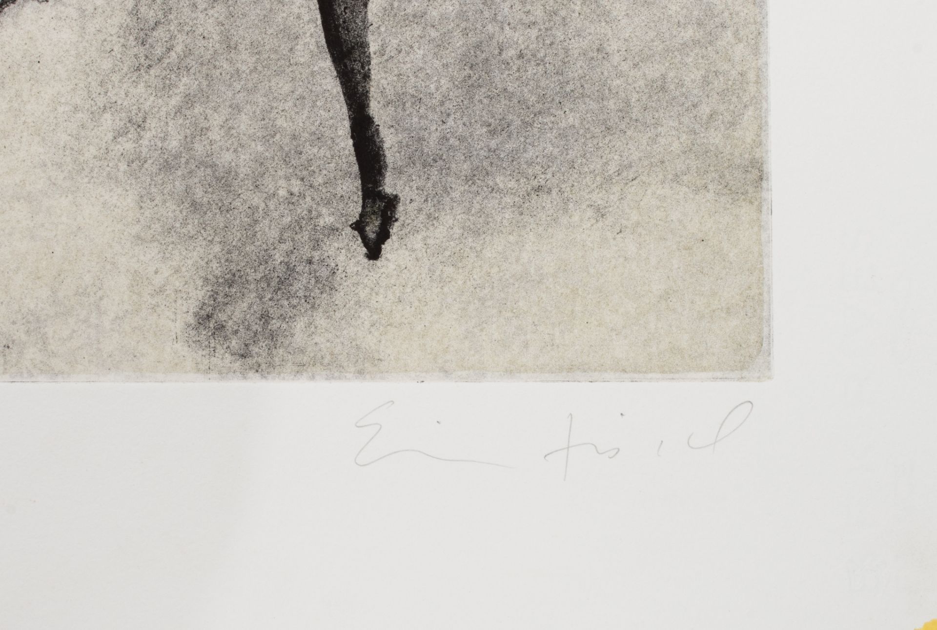 Eric Fishel (1948), 'Nudes (Couple)' (23 Artistes pour Medecins du Monde), aquatint, No 30/100, 45 x - Image 5 of 8