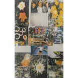 Robert Rauschenberg (1925-2008), 'Charms against Harm' (23 Artistes pour Medecins du Monde), offset