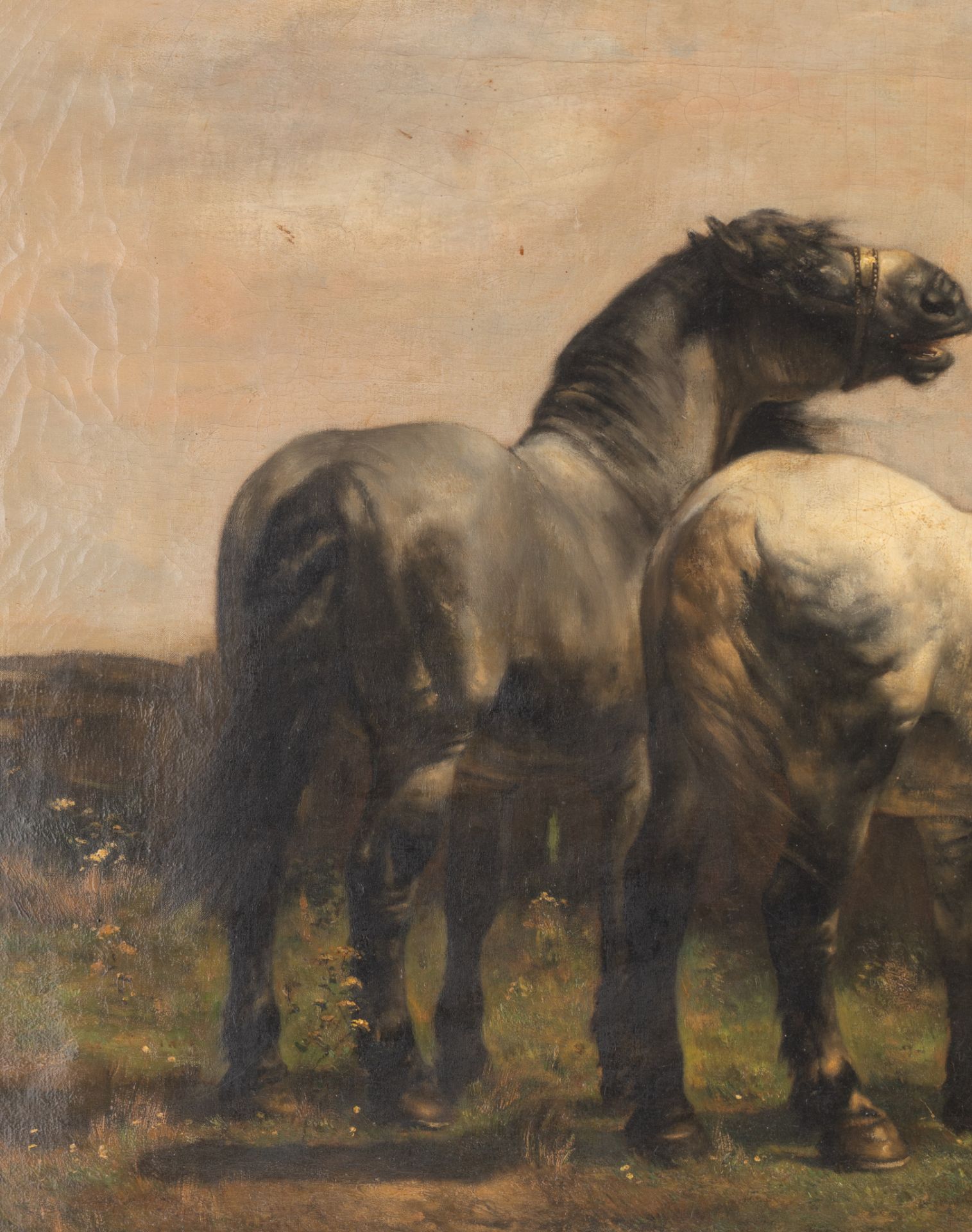 Alfred Verwee (1838-1895), horses in the meadow, oil on canvas, 67 x 91 cm - Image 7 of 7