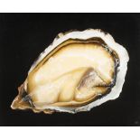 Ignace Bauwens, still life with oyster, oil on panel, 80 x 100 cm