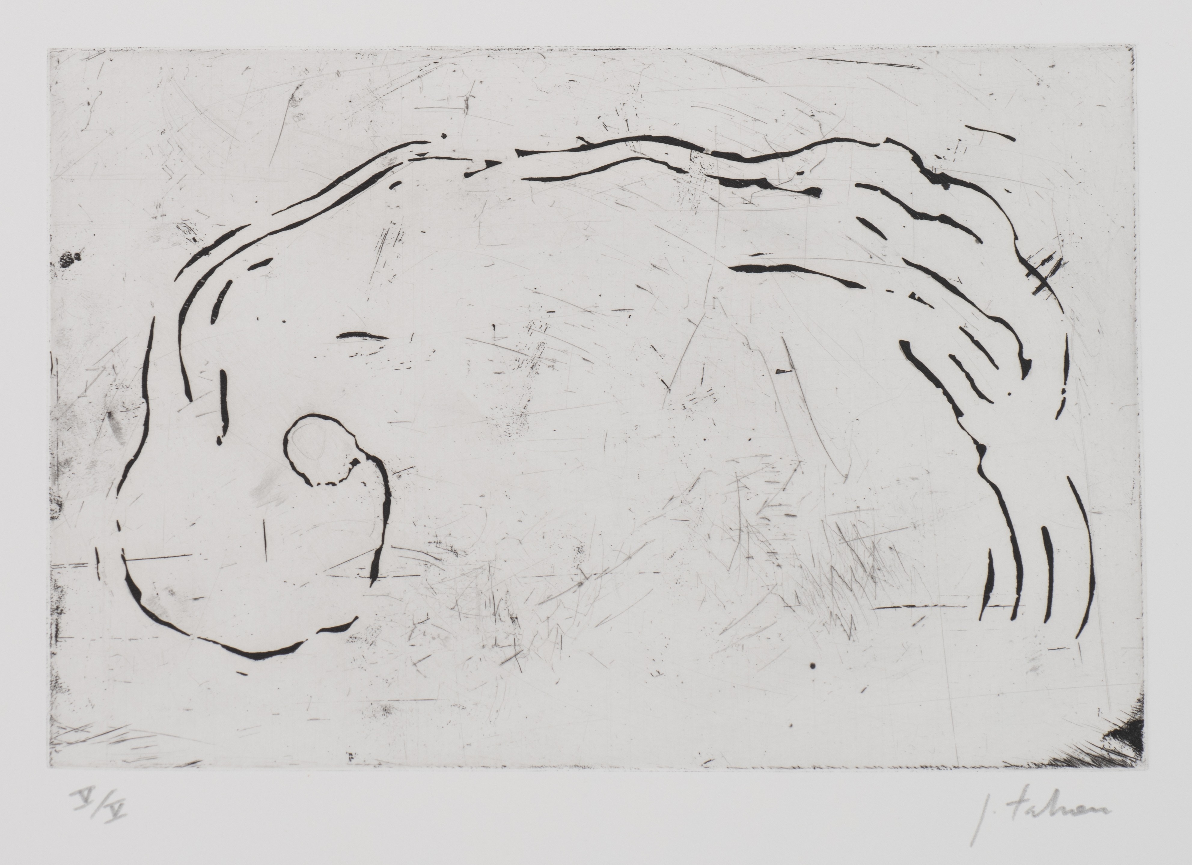 Johan Tahon (1965), 'Orbe de Mercure', art folder containing 12 etchings, No V/V - Image 8 of 16