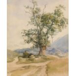 Joseph Höger: Landschaft mit altem Baum, im Hintergrund Blick auf den Gaisberg und Großgmain