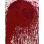 Hermann Nitsch: Schüttbild