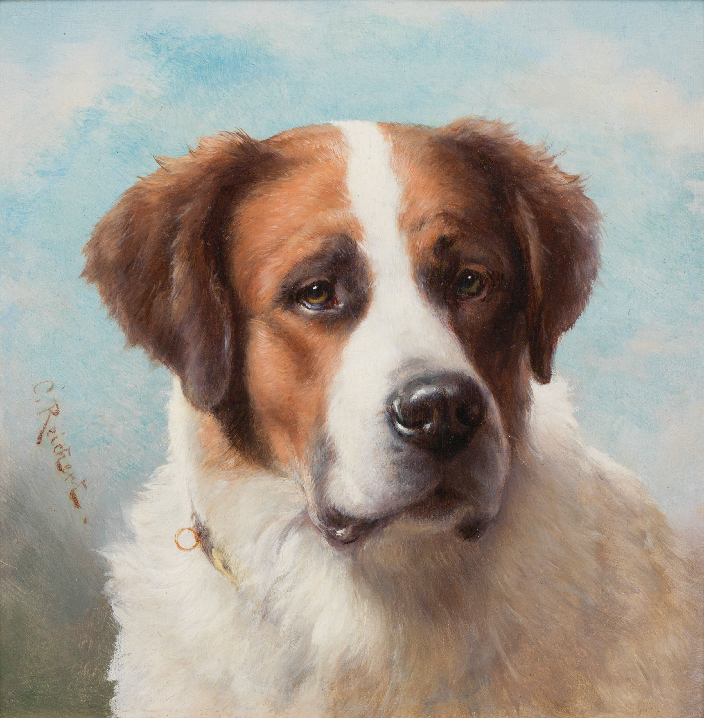 Carl Reichert: Saint Bernard dog