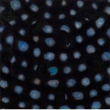 Ross Bleckner: o.T. (RB-6639)