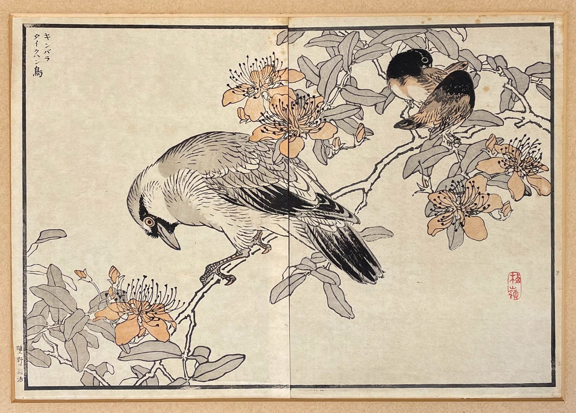 Kono Naotoyo BAIREI (1844 - 1895). Vier Holzschnitte. Vögel und Blumen,1883. - Image 15 of 19