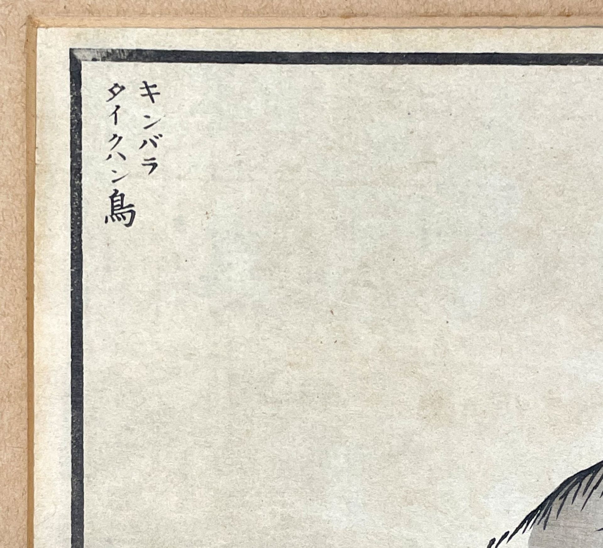 Kono Naotoyo BAIREI (1844 - 1895). Vier Holzschnitte. Vögel und Blumen,1883. - Image 16 of 19