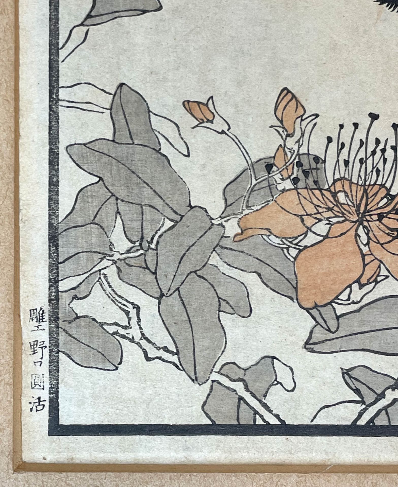 Kono Naotoyo BAIREI (1844 - 1895). Vier Holzschnitte. Vögel und Blumen,1883. - Image 17 of 19