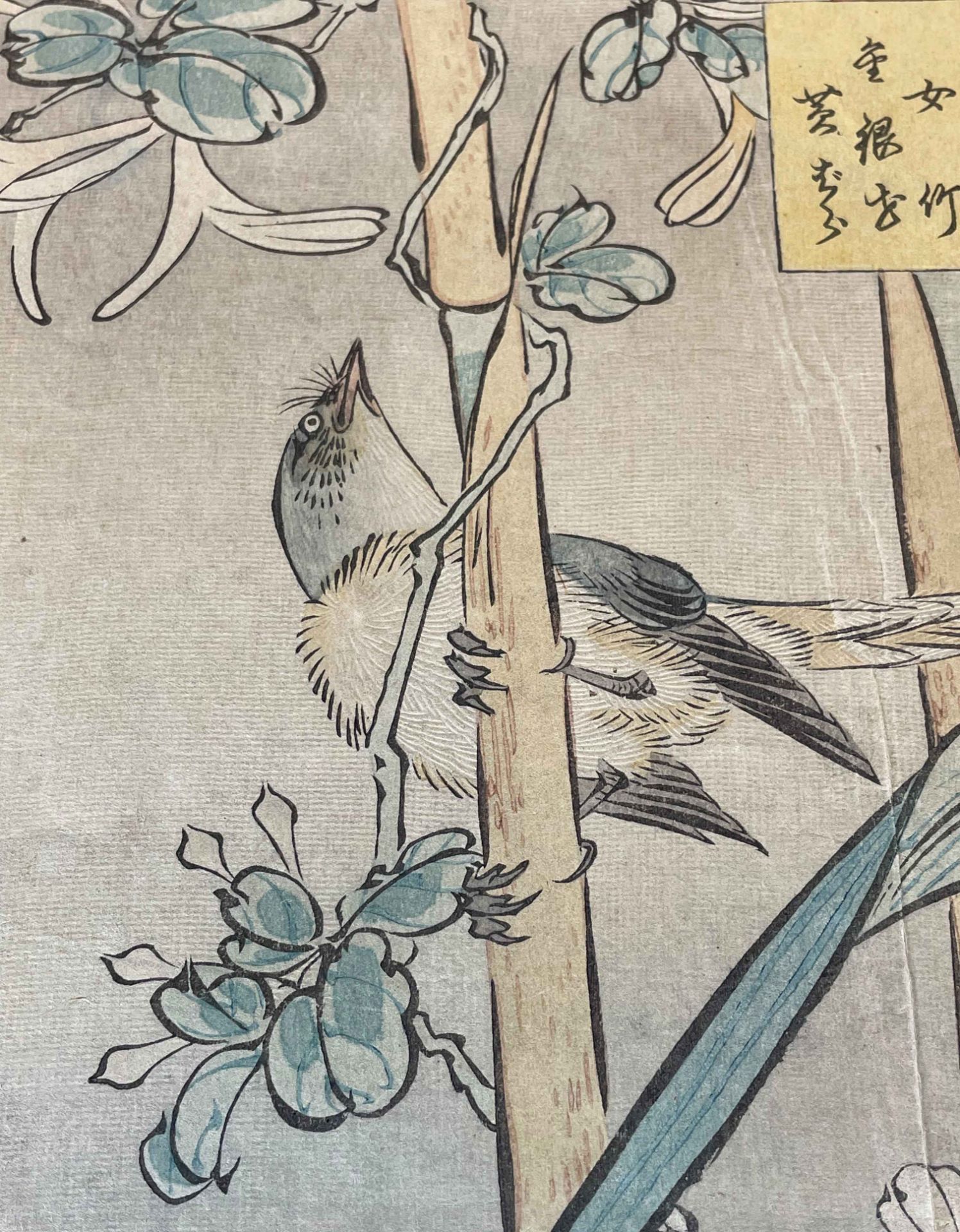 Nakayama SUGAKUDO (XIX). ''Bamboo, Sleeping Beauty'' 1859. 19 / 48. - Image 7 of 11