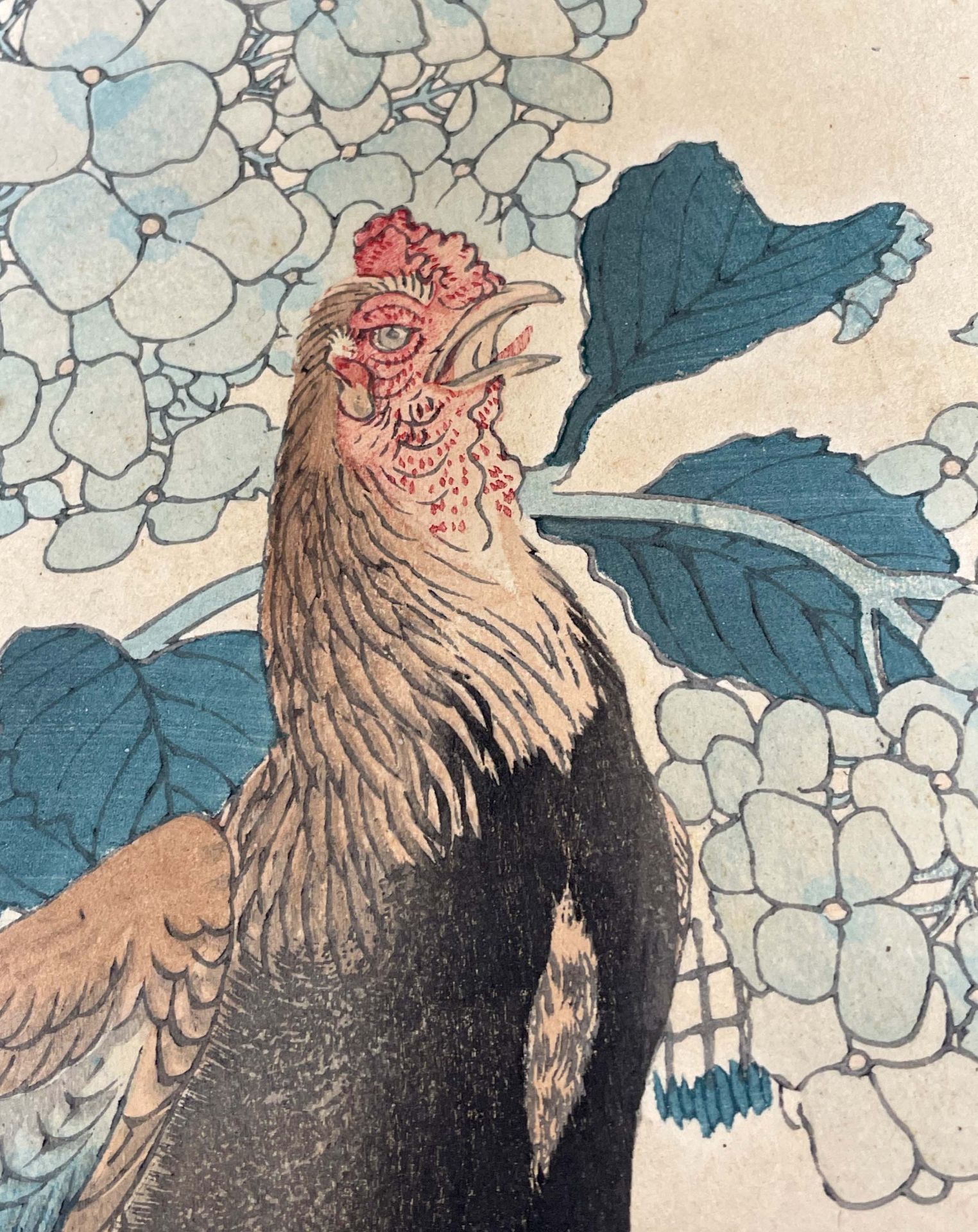 Kono Naotoyo BAIREI (1844 - 1895). Vier Holzschnitte. Vögel und Blumen,1883. - Image 6 of 19