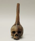 Memento Mori-Objekt, wohl Teilstück aus einem Kruzifix, Holz geschnitzt, 19. Jh., 29 cm hoch