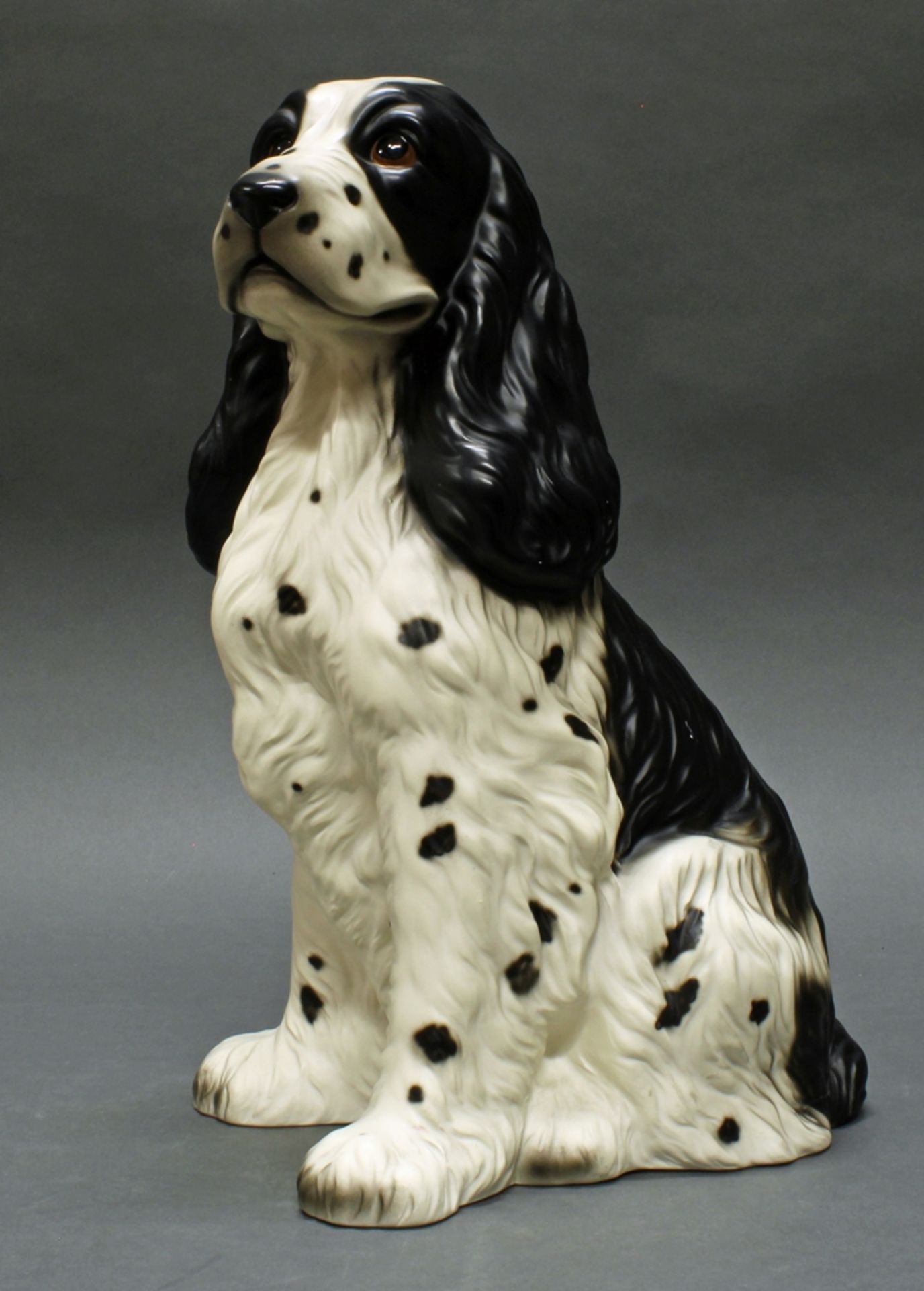 Porzellanfigur, "Cocker Spaniel", Royal, 20. Jh., Biskuitporzellan, schwarz-weiß-braun staffiert, s