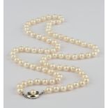 Perlenkette, Verschluss mit 2 Saphiren und 1 Perle, WG 585, ca. 80 cm