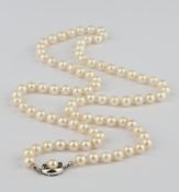 Perlenkette, Verschluss mit 2 Saphiren und 1 Perle, WG 585, ca. 80 cm