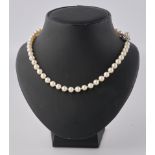 Perlenkette, Schließe WG 585, 6 Saphire, 53 cm
