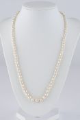 Perlenkette, 89 Perlen ø ca. 4 - 7.5 mm, Schließe WG 585, 2 Saphire, Mondstein-Cabochon