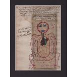 Zwei Seiten aus dem "Tashrīḥ-i badan-i insān" (Der Bau des menschlichen Körpers) von Manṣūr ibn Muḥa