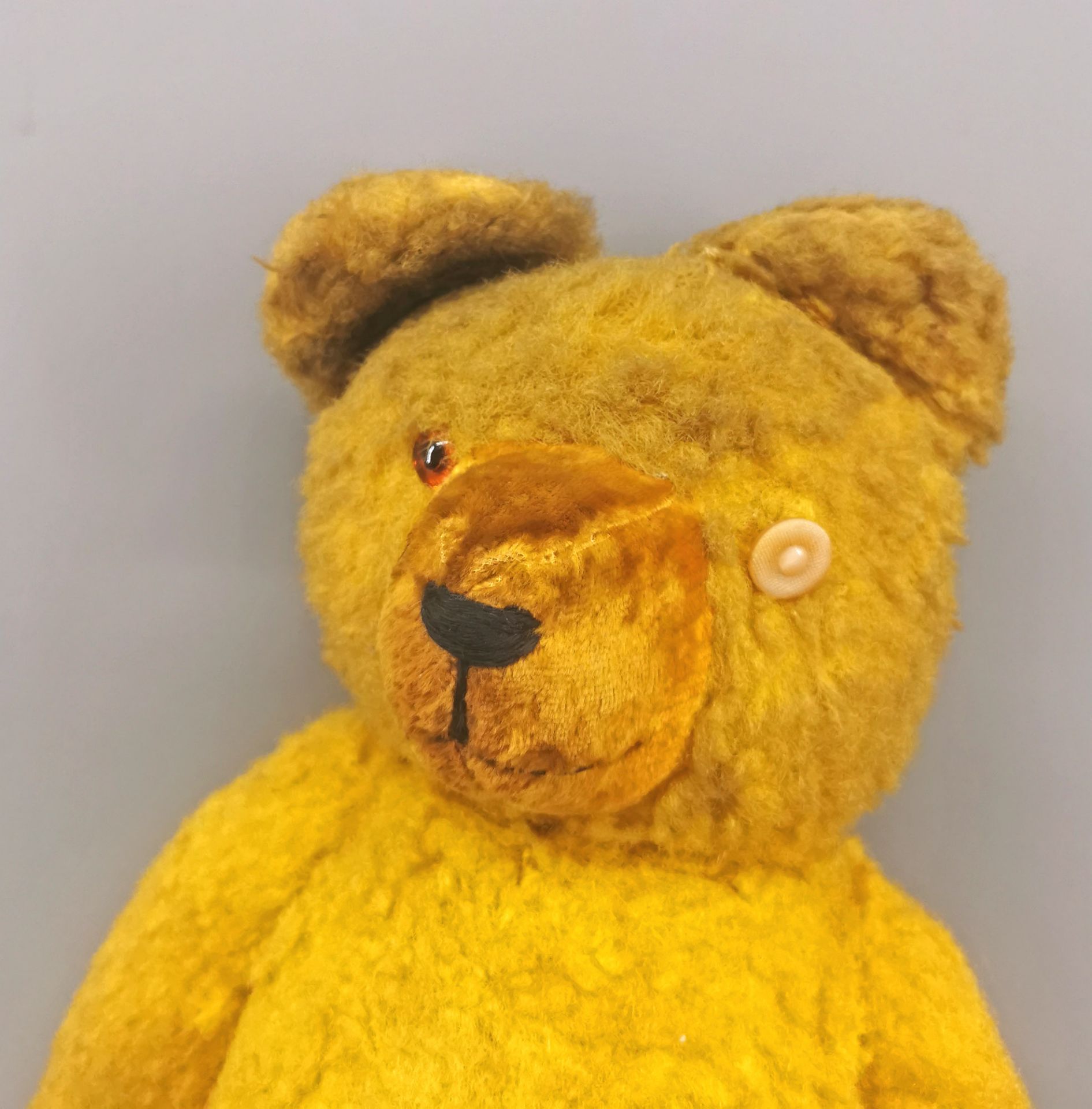 Teddy - Bild 6 aus 9