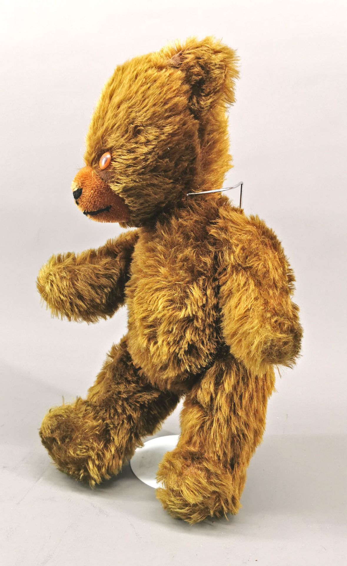 Teddy - Image 4 of 8
