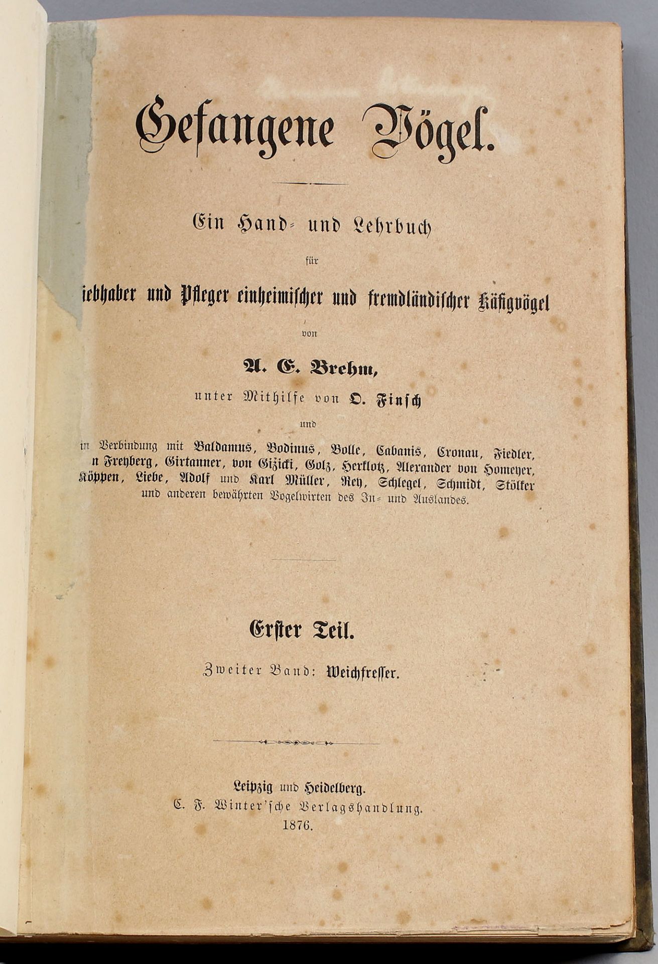 Gefangene Vögel - Ein Hand- und Lehrbuch v. 1876 - Image 2 of 2