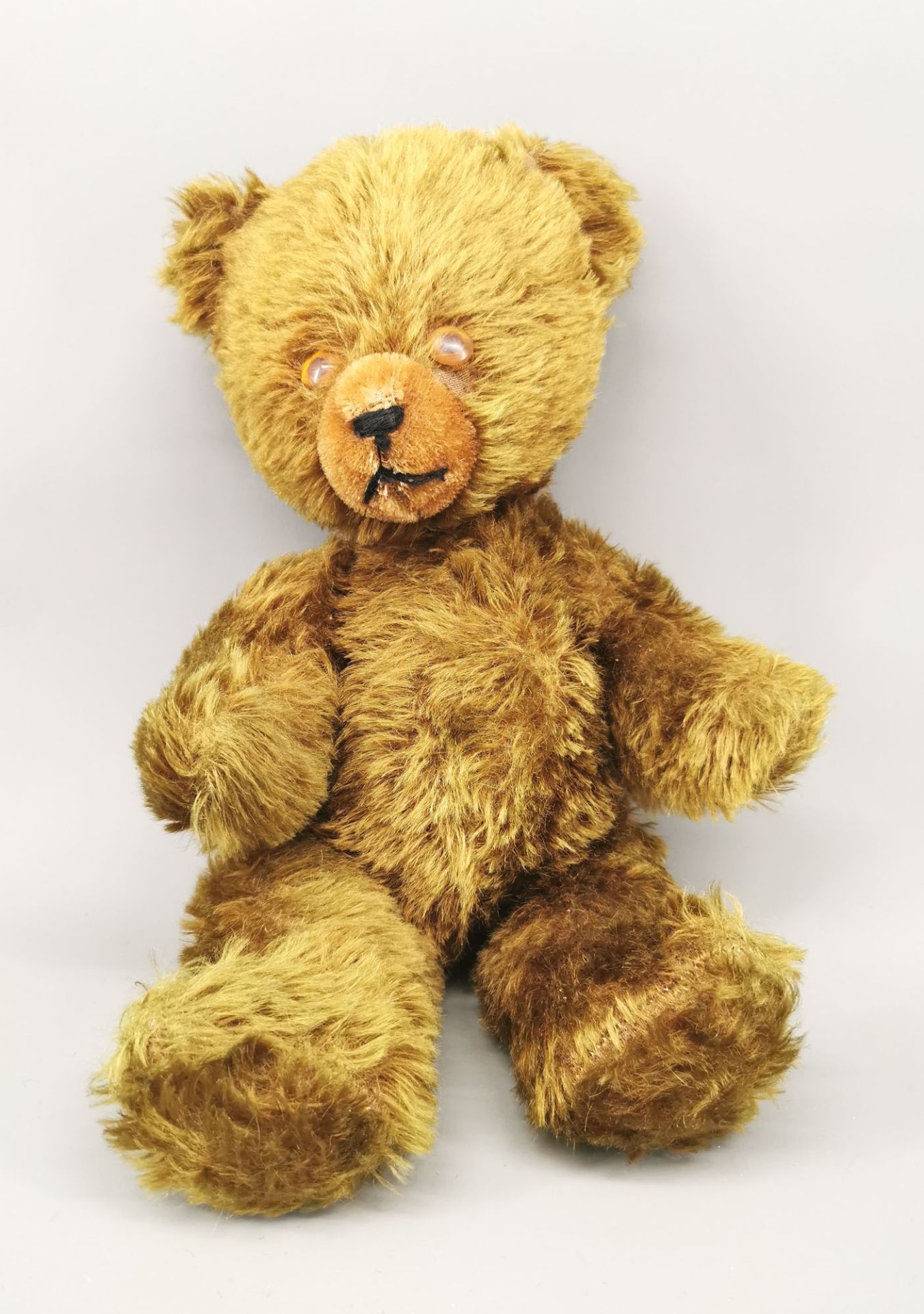 Teddy - Image 6 of 8