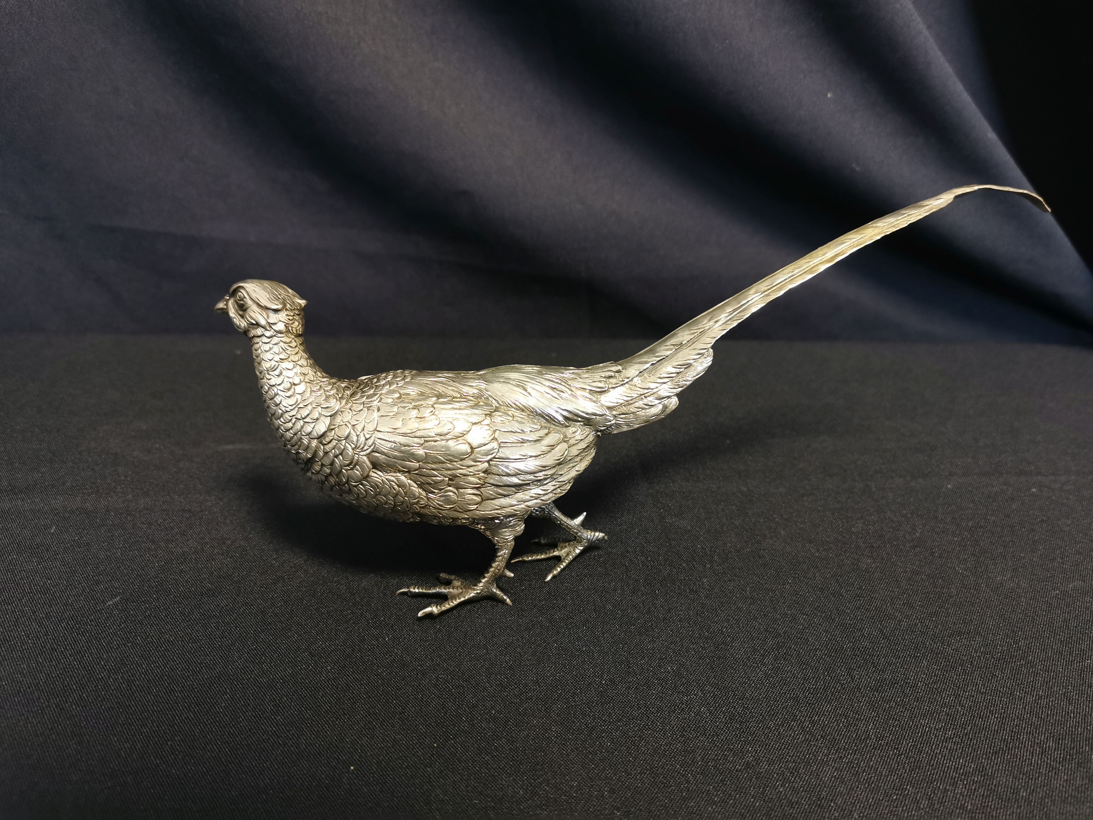SILVER PHEASANT - Image 6 of 6