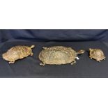 3 SCHILDKRÖTEN