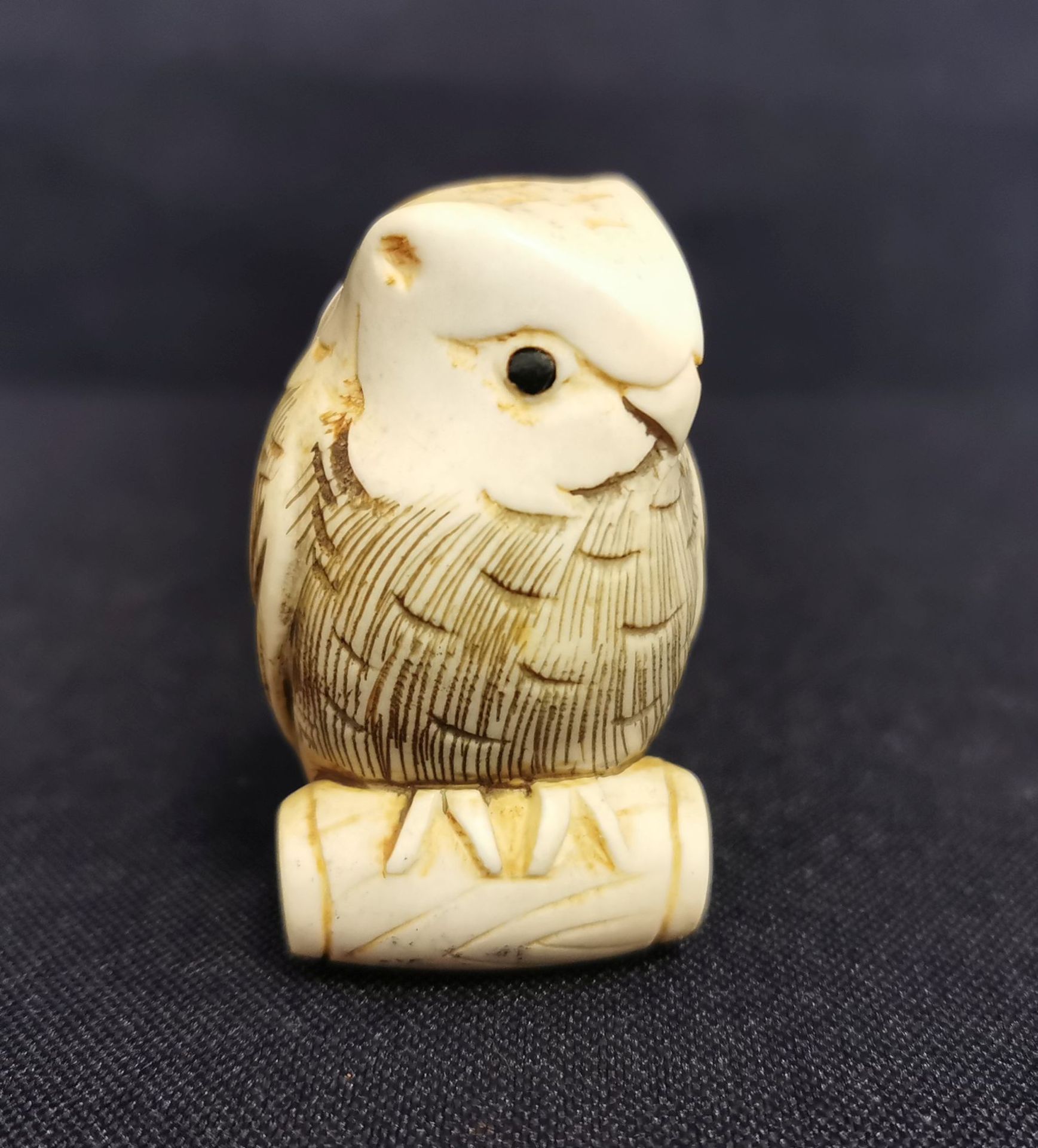 NETSUKE: OWL