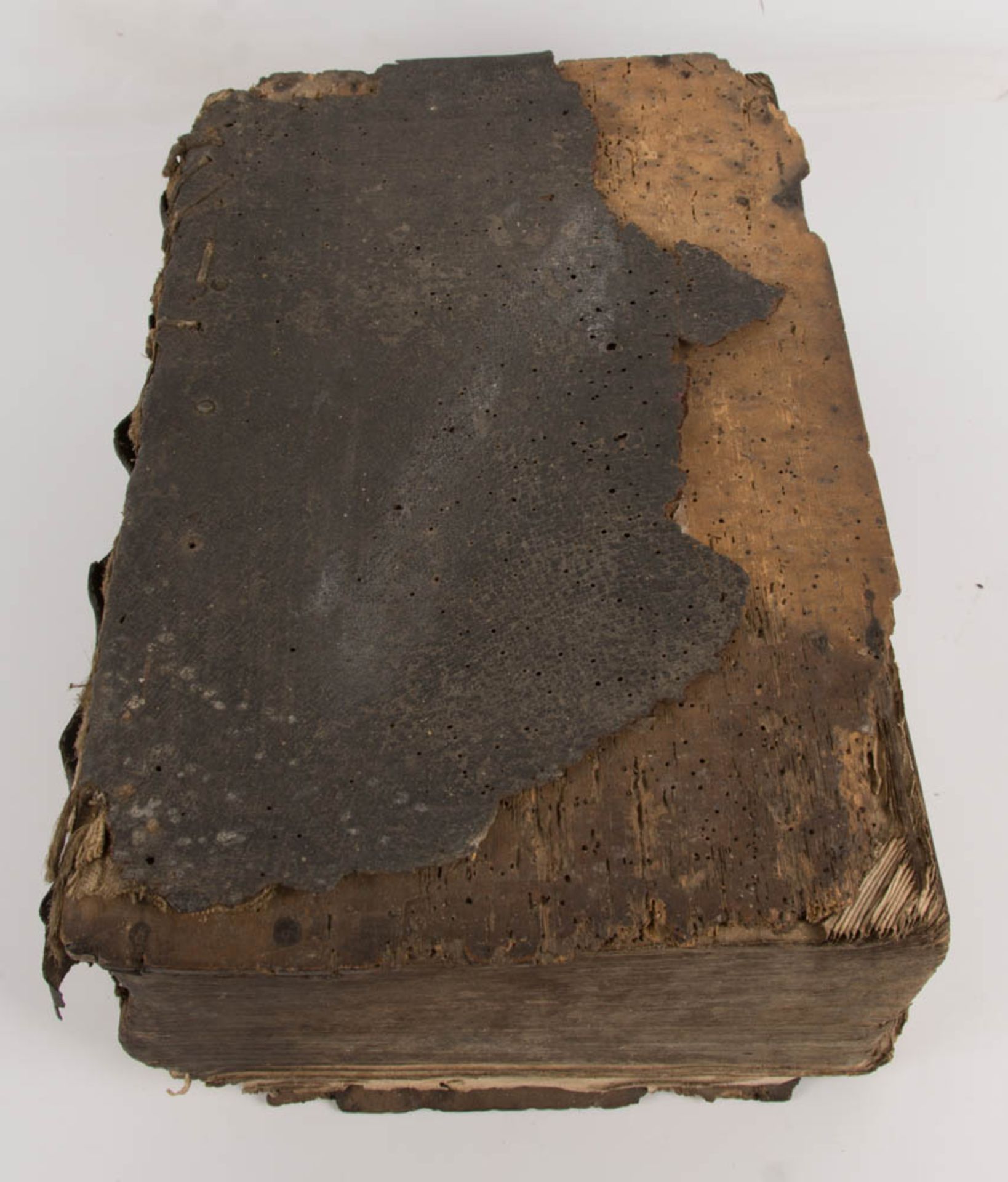 Dillher-Bibel, J.A. Endter Seel. Sohn& Erben, Nürnberg, 1720. - Bild 3 aus 8