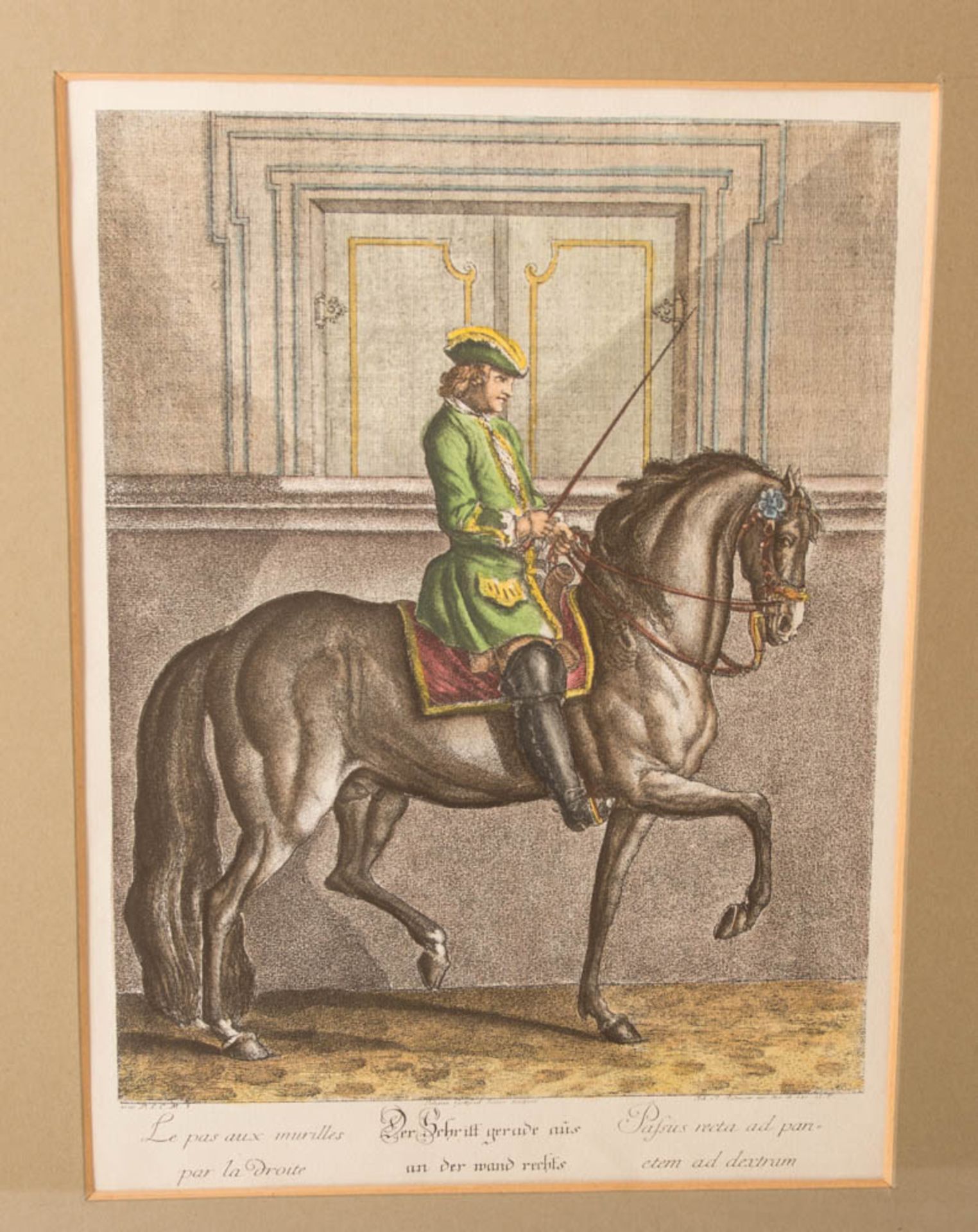 Johann Elias Ridinger, Neun Reiterdarstellungen aus der Folge "Neue Reitschule", 1734. - Bild 3 aus 21