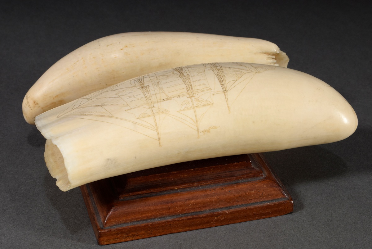 2 Scrimshaws "Lucia", connected and mounted on wooden base, whale tooth with colored incised decora - Image 2 of 6