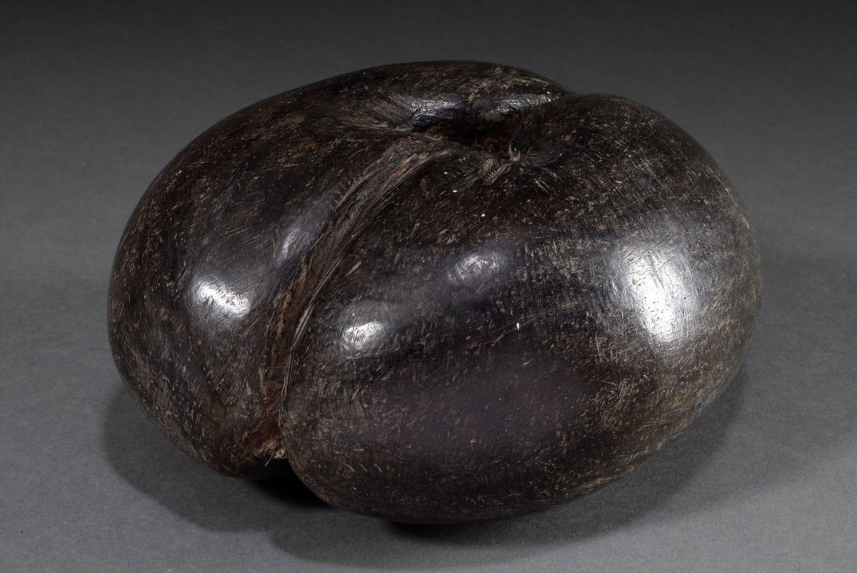 Sailor souvenir around 1900: Seychelles nut or Coco de Mer (Lodoicea maldivica), surface processed, - Image 2 of 3