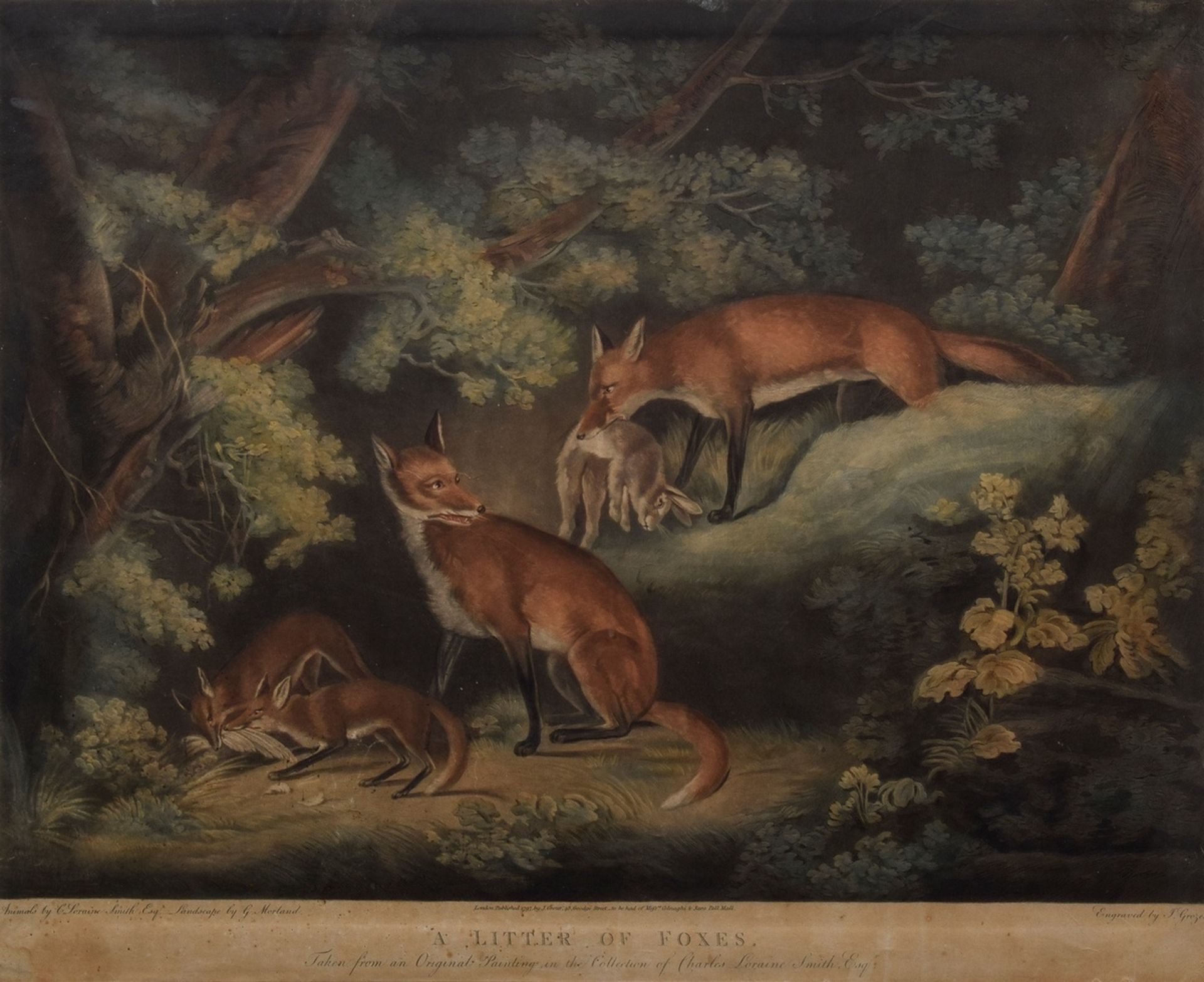 2 Diverse colorierte Radierungen: "A Litter of Foxes", gest. von Joseph Grozer (Ende 18.Jh.) und "P - Bild 6 aus 11