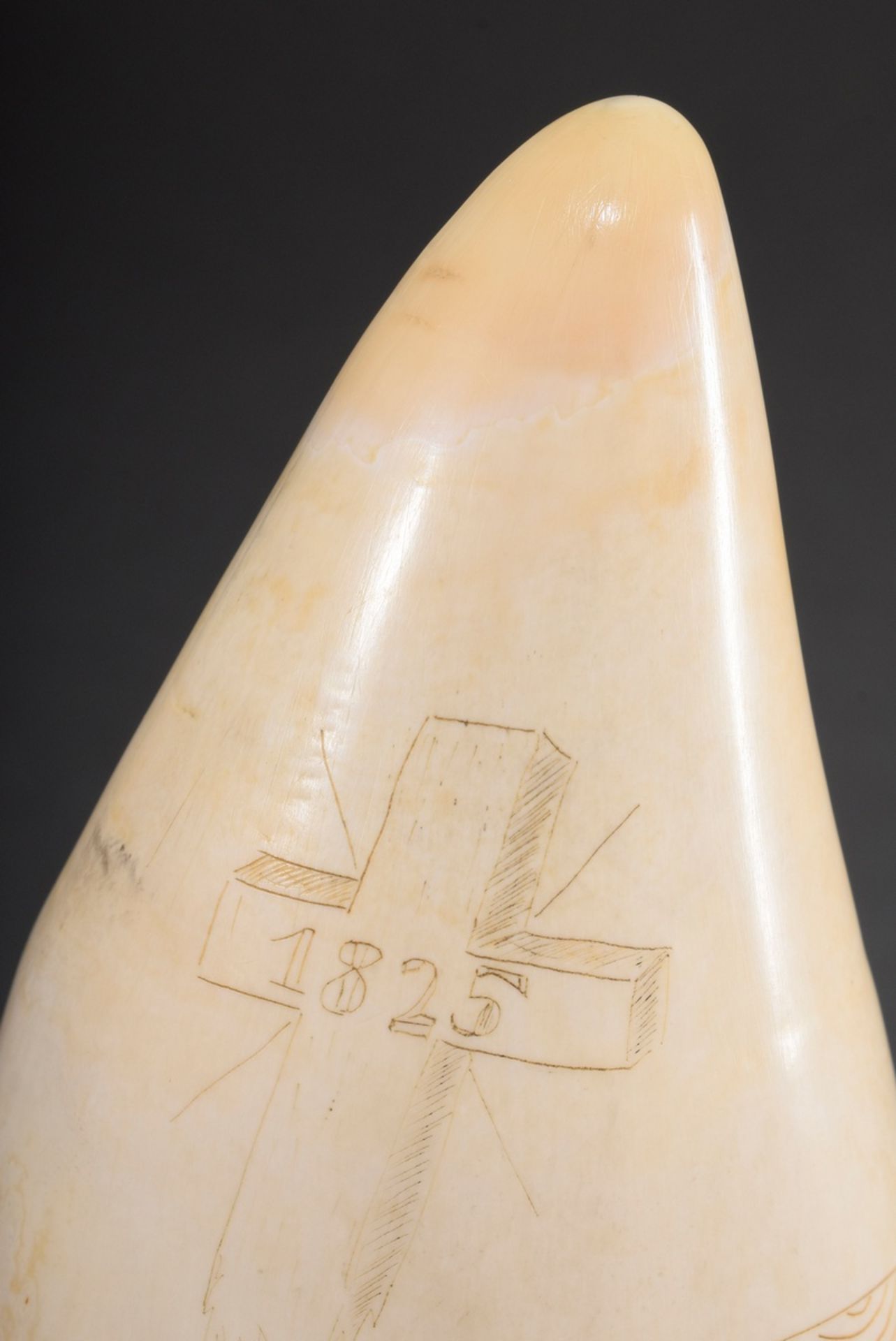 Scrimshaw „3-Master 1825“, Walzahn mit gefärbtem Ritzdekor „3-Master im Schmuckrahmen und Kreuz mit - Bild 4 aus 5