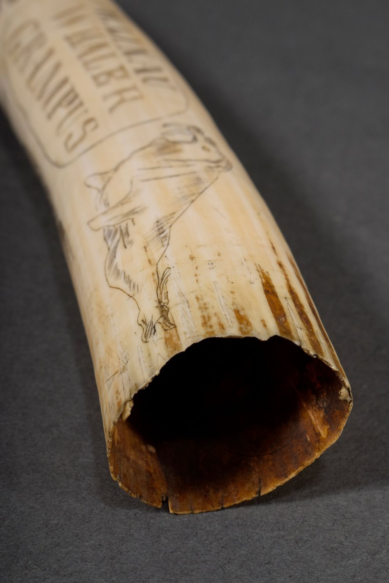 Scrimshaw „W.Linau Whaler Grampus“, Walzahn mit geschwärztem Ritzdekor, „Wal, Walrösser und Waljagd - Bild 5 aus 6