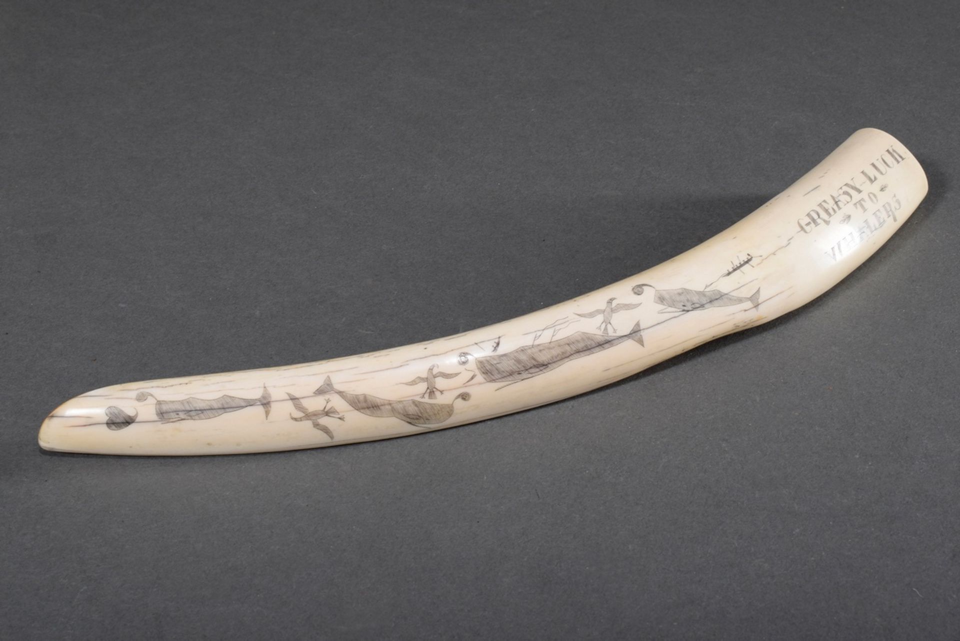 Scrimshaw „Greasy Luck to Whalers“, Walrosszahn mit geschwärztem Ritzdekor „Pottwale und Möwen“, L. - Bild 3 aus 6