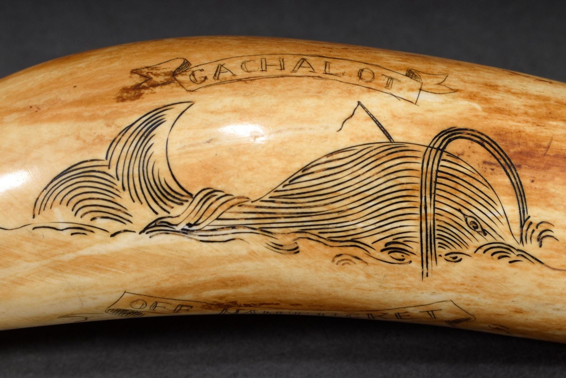 Scrimshaw „Cachalot off Nantucket/ Sounding“, Walzahn mit geschwärztem Ritzdekor „Pottwal und Anker - Bild 3 aus 5