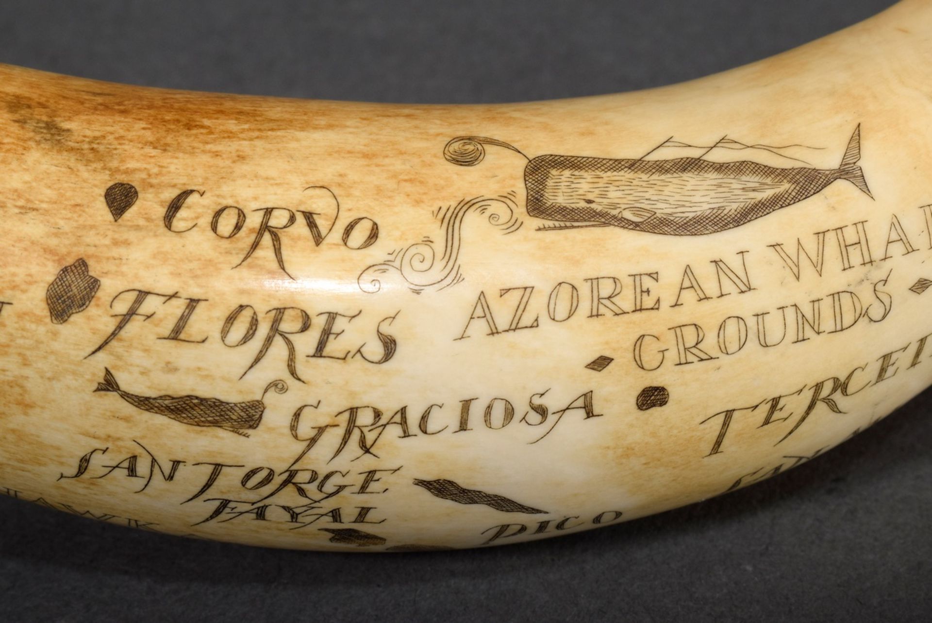 Scrimshaw „Hawk Salem/ Azorean Whaling Grounds“, Walzahn mit geschwärztem Ritzdekor „Azoreninseln u - Bild 4 aus 5