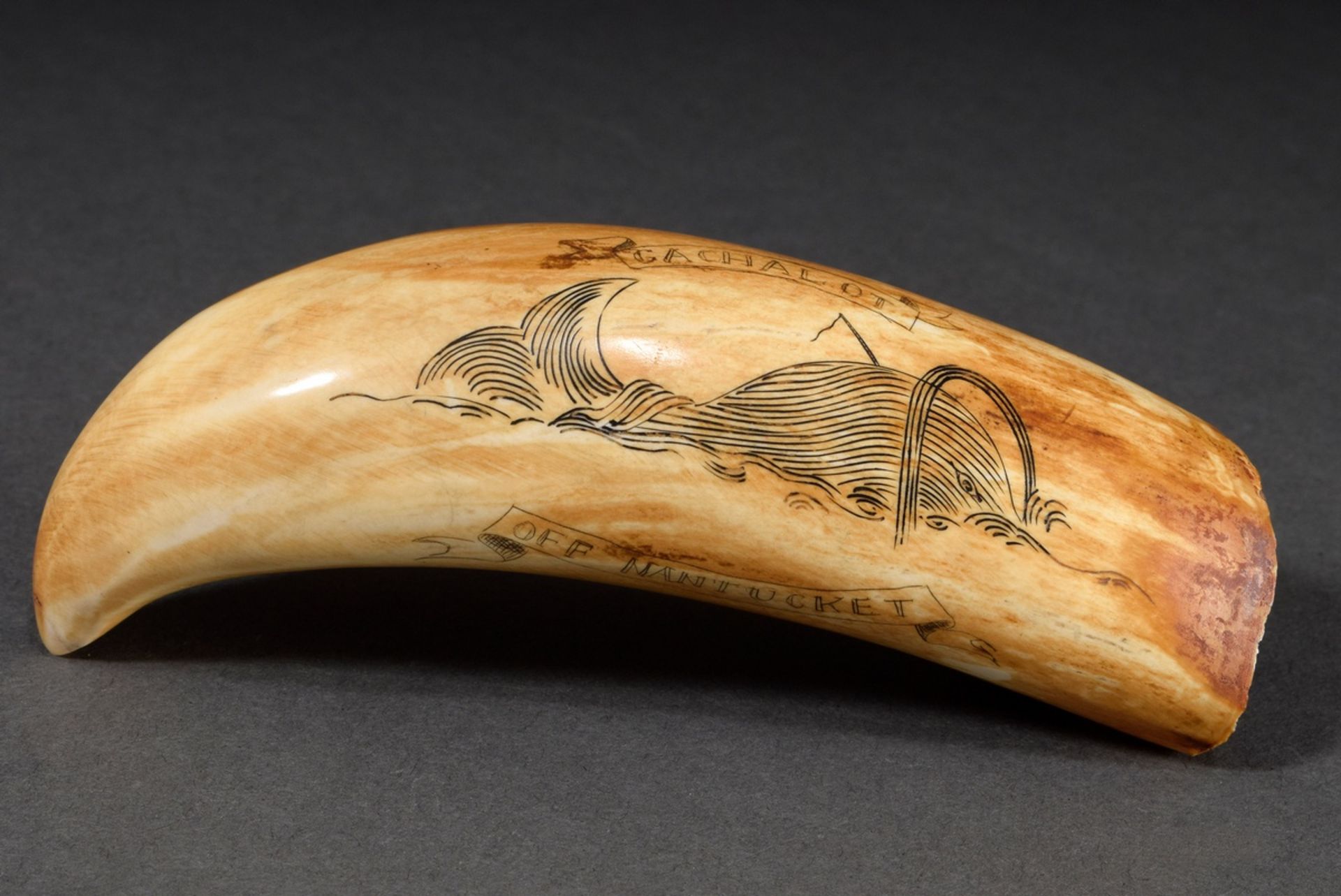 Scrimshaw „Cachalot off Nantucket/ Sounding“, Walzahn mit geschwärztem Ritzdekor „Pottwal und Anker