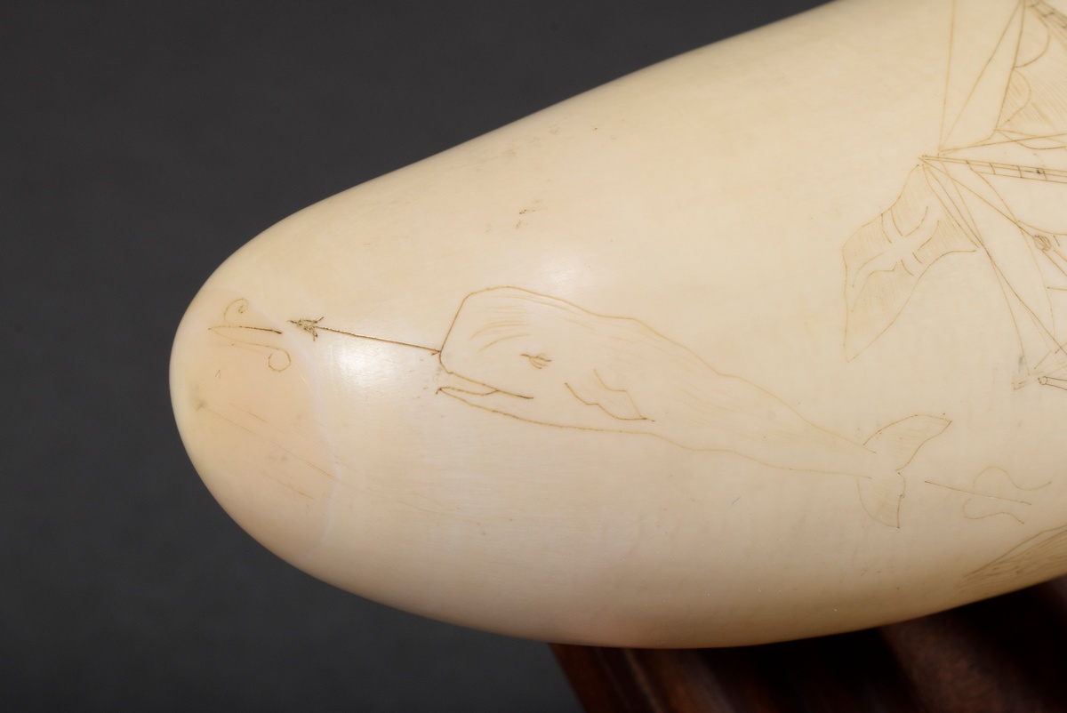 2 Scrimshaws "Lucia", connected and mounted on wooden base, whale tooth with colored incised decora - Image 4 of 6